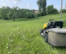 Vejos pjovimo paslaugos / Vejos pjovimo paslaugos / Darbų pavyzdys ID 2800155