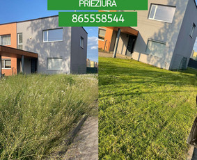 Apleistų sklypų tvarkymas - Vejos skarifikavimas, trę&scaron;imas, senos žolės surinkimas. - 1