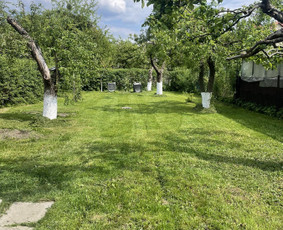 Pjovimas trimeriu, žoliapjove, traktoriuku ir kt. darbai / MB VITONA / Darbų pavyzdys ID 2803043