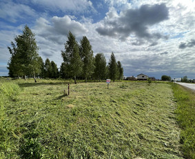 Pjovimas trimeriu, žoliapjove, traktoriuku ir kt. darbai / MB VITONA / Darbų pavyzdys ID 2803051