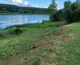 Žolės pjovimas - Teritorijų tvarkymas trimeriu, traktoriuku, žoliapjove ir kt - 4