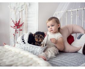 Fotografė Kaune / Simona Tiškė / Darbų pavyzdys ID 509857