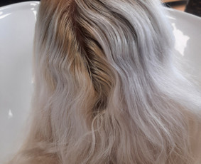 Kirpimai visai šeimai, dažymas, priauginimas / Elena / Darbų pavyzdys ID 2803651