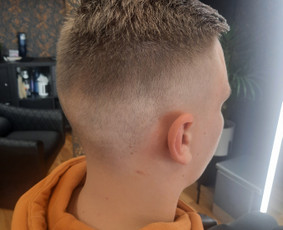 Kirpimai visai šeimai, dažymas, priauginimas / Elena / Darbų pavyzdys ID 2803663
