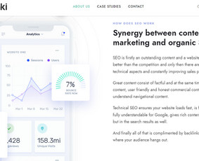Internetas, IT - Seo paslaugos Lietuvos ir užsienio projektams - 2