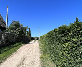 Medžių pjovimas-genėjimas / MB Medžio Kvapas / Darbų pavyzdys ID 2805987