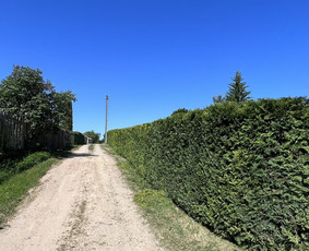 Medžių pjovimas-genėjimas/gyvatvorių karpymas / MB Medžio Kvapas / Darbų pavyzdys ID 2805997