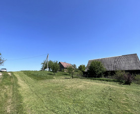 Medžių pjovimas-genėjimas/gyvatvorių karpymas / MB Medžio Kvapas / Darbų pavyzdys ID 2806001