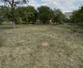 Apleistų sklypų tvarkymas - Vejos pjovimas-aplinkos priežiūra, tvarkymas. - 4