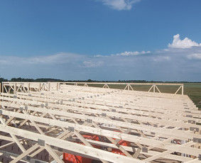 Stogdengiai. Stogo dengimas / Uab Algio stogai / Darbų pavyzdys ID 2808715
