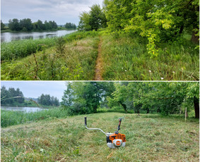 Žolės Pjovimas / Aplinkos Priežiūra / Mantas Ruginis / Darbų pavyzdys ID 2810131