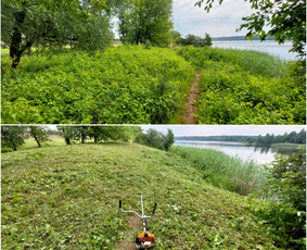 Žolės Pjovimas / Aplinkos Priežiūra / Mantas Ruginis / Darbų pavyzdys ID 2810133