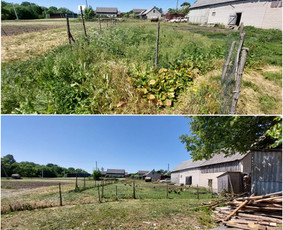 Žolės Pjovimas / Aplinkos Priežiūra / Mantas Ruginis / Darbų pavyzdys ID 2810137