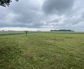 Žolės pjovimas / Aplinkos priežiūros darbai / Daimonas Ambrazas / Darbų pavyzdys ID 2810177