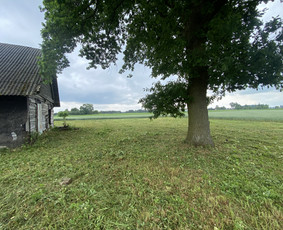 Žolės pjovimas / Aplinkos priežiūros darbai / Daimonas Ambrazas / Darbų pavyzdys ID 2810179