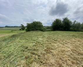 Žolės pjovimas / Aplinkos priežiūros darbai / Daimonas Ambrazas / Darbų pavyzdys ID 2810185