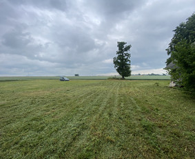 Žolės pjovimas / Aplinkos priežiūros darbai / Daimonas Ambrazas / Darbų pavyzdys ID 2810187