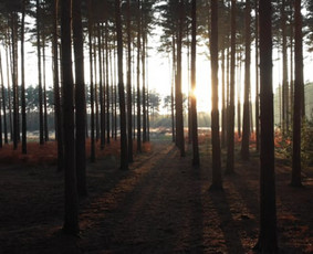 Filmavimas, fotografavimas dronu - Filmavimas ir montavimas Šiauliuose ir Vilniuje - 1