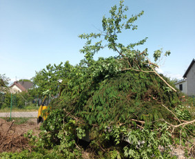 Visi griovimo-kasimo,išvežimo darbai / Tomas / Darbų pavyzdys ID 2811373