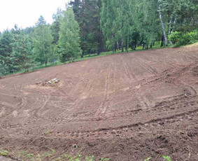 Vejos skarifikavimas, aeravimas, tręšimas, kiti kiemo darbai / Tavo kiemas - mano rūpestis / Darbų pavyzdys ID 2813181