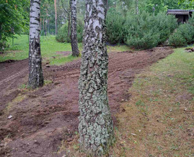 Vejos skarifikavimas, aeravimas, tręšimas, kiti kiemo darbai / Tavo kiemas - mano rūpestis / Darbų pavyzdys ID 2813185