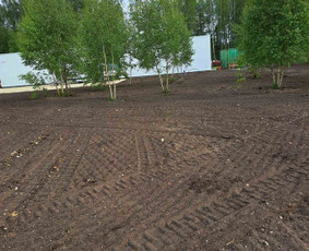 Vejos skarifikavimas, aeravimas, tręšimas, kiti kiemo darbai / Tavo kiemas - mano rūpestis / Darbų pavyzdys ID 2813195