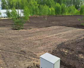 Vejos skarifikavimas, aeravimas, tręšimas, kiti kiemo darbai / Tavo kiemas - mano rūpestis / Darbų pavyzdys ID 2813201