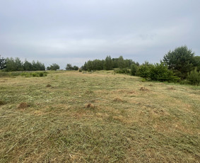 Vejos pjovimo paslaugos / Vejos pjovimo paslaugos / Darbų pavyzdys ID 2814637