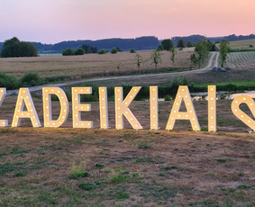 Šviečiančių raidžių nuoma - Visa abėcėlė ir skaičiai / Šviečiančių raidžių nuoma / Darbų pavyzdys ID 2814693