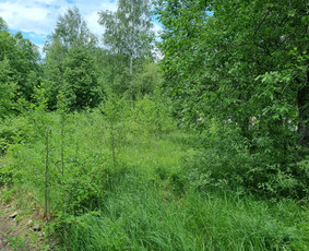 Aplinkos tvarkymo paslaugos (5) - Apleistų sklypų tvarkymas - 1 Apleistų sklypų tvarkymas - Aplinkos tvarkymo paslaugos (5) - 1