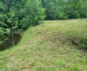Aplinkos tvarkymo paslaugos (5) - Apleistų sklypų tvarkymas - 2 Apleistų sklypų tvarkymas - Aplinkos tvarkymo paslaugos (5) - 2
