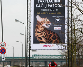 Aukštera - Aukštalipių paslaugos - Iškabų, reklaminių tentų montavimas ir demontavimas - 1 Iškabų, reklaminių tentų montavimas ir demontavimas - Aukštera - Aukštalipių paslaugos - 1