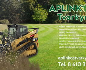 Apleistų sklypų tvarkymas: krūmų frezavimas,kelmų naikinimas / UAB "Aplinkos tvarkymas" / Darbų pavyzdys ID 2822189