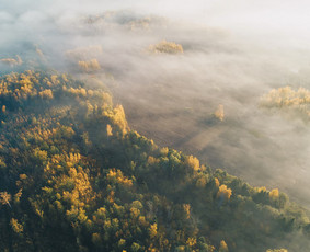 Vestuvės, renginiai, verslo portretai, asmeninės fotosesijos / Linas Bielinis / Darbų pavyzdys ID 515449
