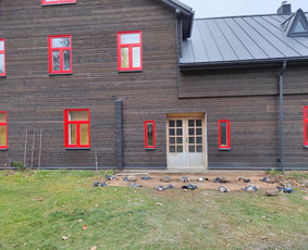Kokybiški statybos ir remonto darbai / Medžio sprendimai / Darbų pavyzdys ID 2824157
