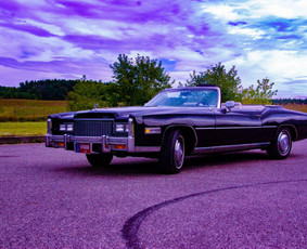 Nuomos paslaugos - Senovinių automobilių nuoma vestuvėms. - 1