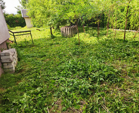 Krūmų/žolės pjovimas, miško sodinimas, Jaunuolynų ugdymas, / MB Siberija / Darbų pavyzdys ID 2824389