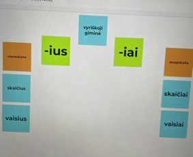 Papildomas lietuvių kalbos mokymas - Pagalba būsimiems ir esamiems pradinukams - 4