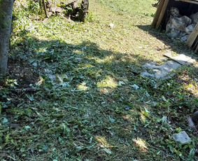 Žolės Pjovimas / Aplinkos Priežiūra / Mantas Ruginis / Darbų pavyzdys ID 2826743