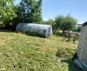 Žolės Pjovimas / Aplinkos Priežiūra / Mantas Ruginis / Darbų pavyzdys ID 2826745