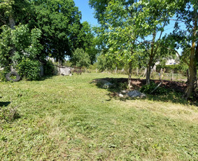 Žolės Pjovimas / Aplinkos Priežiūra / Mantas Ruginis / Darbų pavyzdys ID 2826747