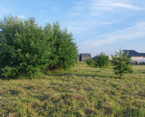 Žolės Pjovimas / Aplinkos Priežiūra / Mantas Ruginis / Darbų pavyzdys ID 2826749