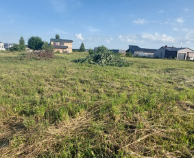 Žolės Pjovimas / Aplinkos Priežiūra / Mantas Ruginis / Darbų pavyzdys ID 2826751