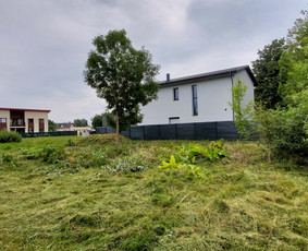 Žolės Pjovimas / Aplinkos Priežiūra / Mantas Ruginis / Darbų pavyzdys ID 2826753