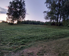Žolės Pjovimas / Aplinkos Priežiūra / Mantas Ruginis / Darbų pavyzdys ID 2826755