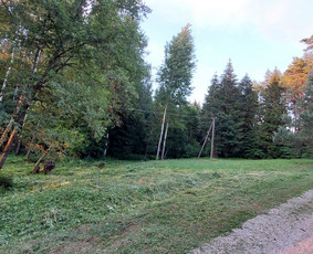Žolės Pjovimas / Aplinkos Priežiūra / Mantas Ruginis / Darbų pavyzdys ID 2827303
