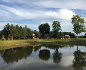 Vosylių kaimo turizmo sodyba / Aistė Vosylienė / Darbų pavyzdys ID 516609