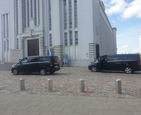 Mikroautobuso Mercedes nuoma su vairuotoju, keleivių vežimas / Gintaras / Darbų pavyzdys ID 2828919