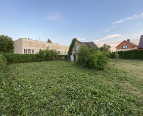 Žolės pjovimas / Aplinkos priežiūros darbai / Daimonas Ambrazas / Darbų pavyzdys ID 2829361