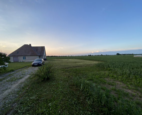 Žolės pjovimas / Aplinkos priežiūros darbai / Daimonas Ambrazas / Darbų pavyzdys ID 2829363